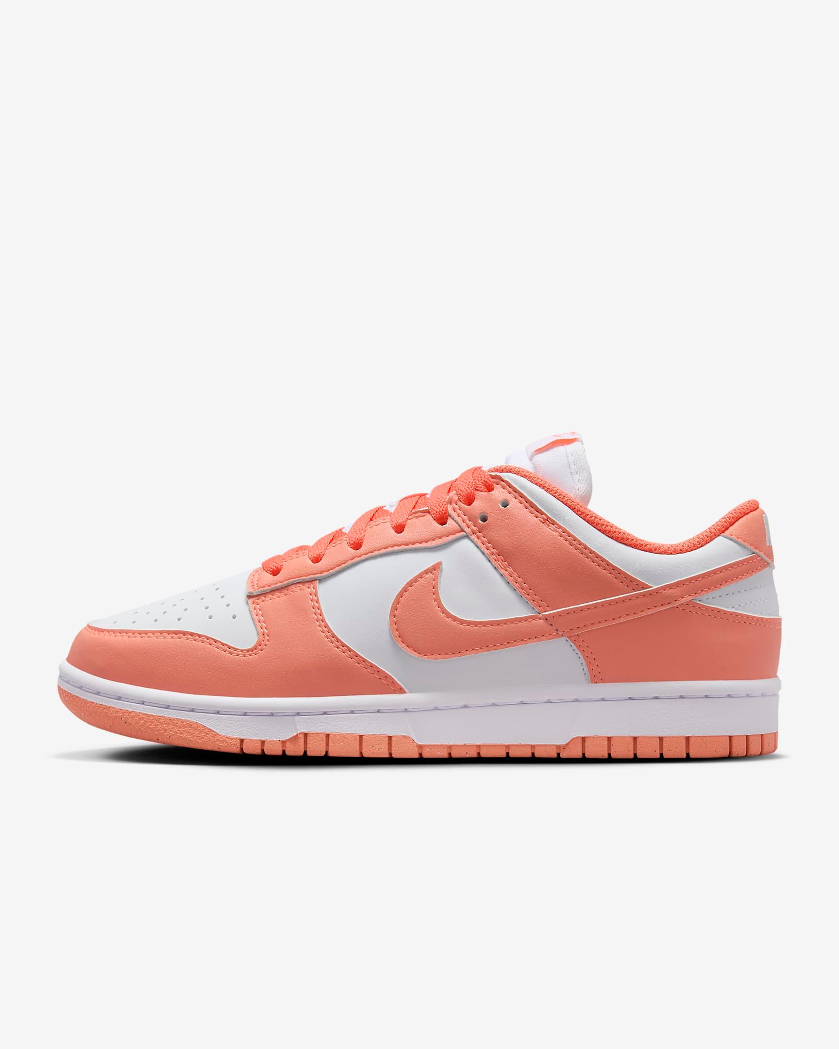 Nike Dunk Low Next Naturepicture